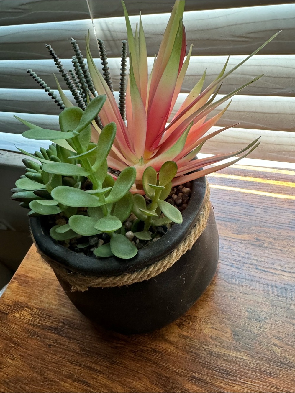 Artificial Succulent Arrangement in Black Rope-Trim Pot